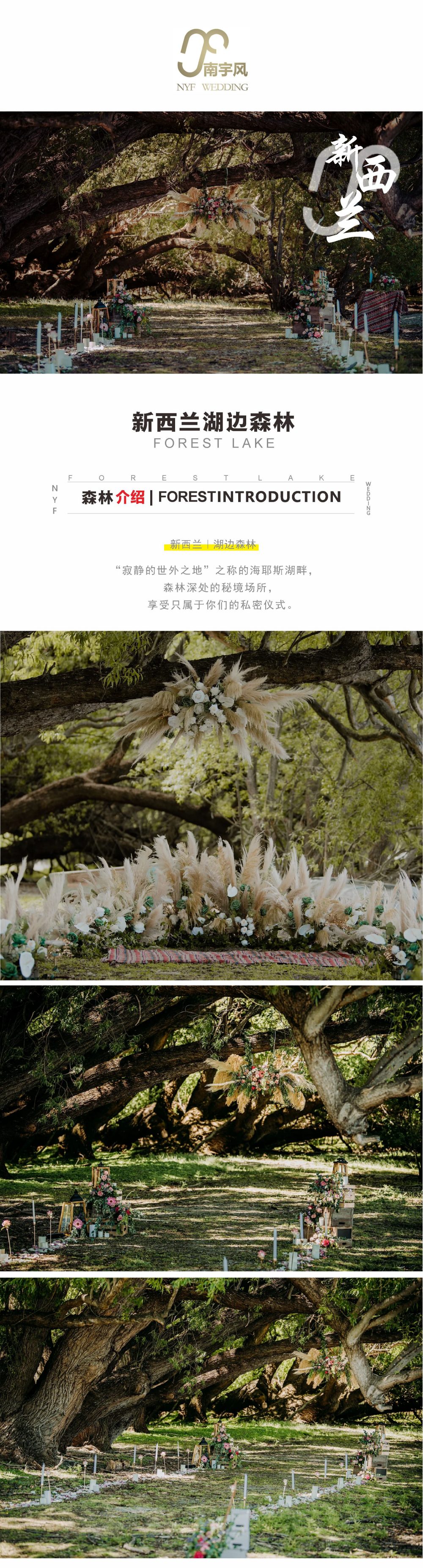 湖边森林1_副本.jpg